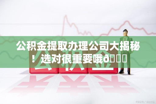 青阳公积金提取办理公司大揭秘！选对很重要哦😎